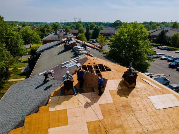 Best Flat Roof Repair Services  in Council Bluffs, IA